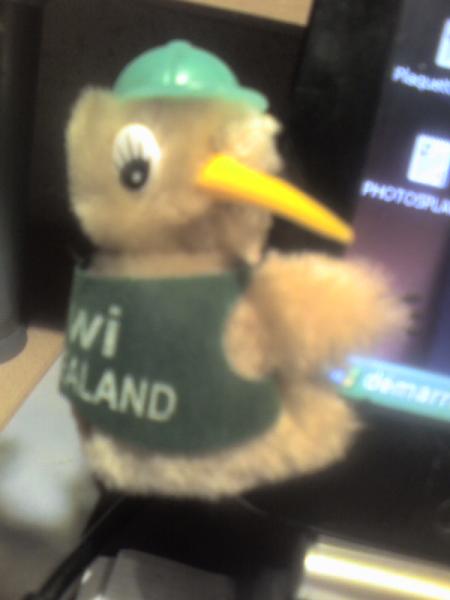 KIWI